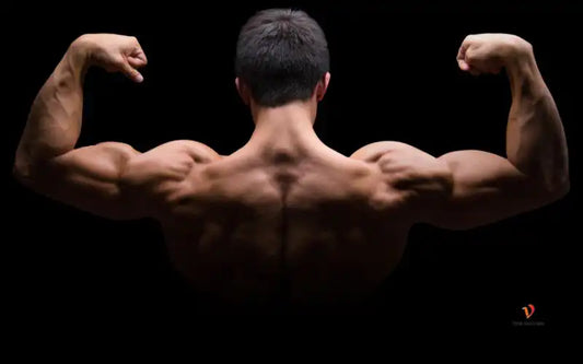 Suplementos con Ingredientes Naturales para Aumentar la Testosterona y la Libido
