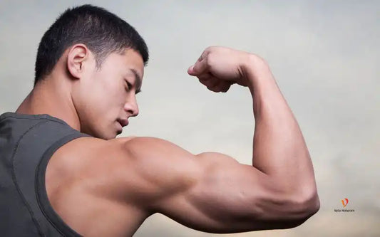 Mejores Suplementos Naturales para Aumentar la Testosterona en Hombres