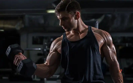 Estrategias Naturales para Aumentar la Testosterona: Una Guía Completa para Hombres